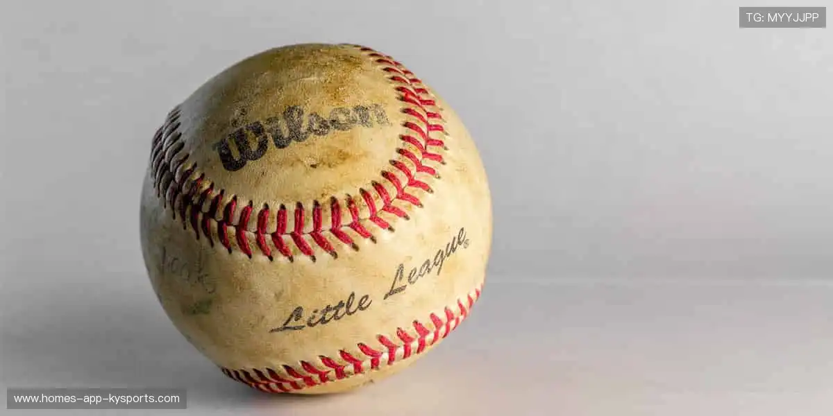 🎯 限量周边,粉丝专属!🎁